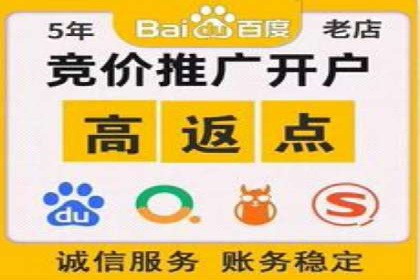顶级SEM服务公司案例解析